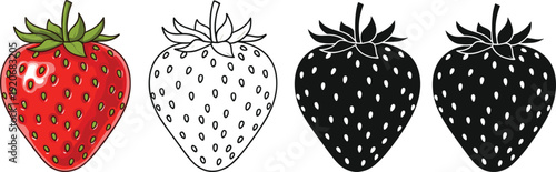 Red strawberry fruit with black and white silhouettes and line art cad drawing flat vector illustration for organic food design