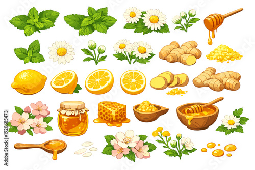 Collection of natural ingredients such as honey, lemon, and ginger on a white background with flowers and herbs