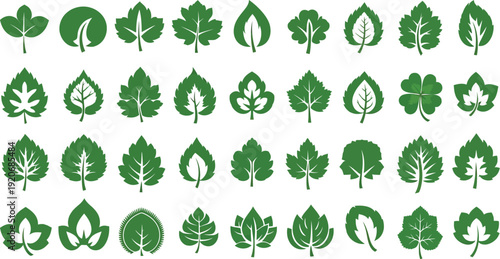 Green leaf icons collection for design use