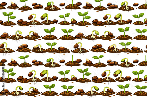 Seed growth stages in soil with roots and sprouts shown in a clear pattern