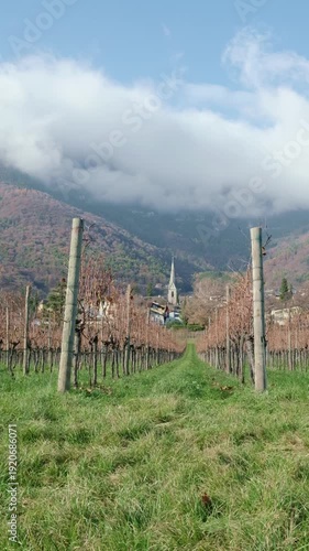Scenic Alpine Landscape With Vineyard And Church Tower, Bolzano, Italy