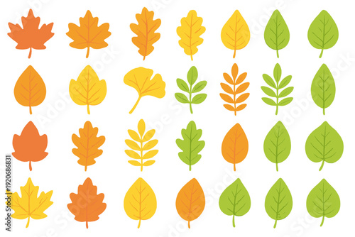 Colorful leaves arranged in a grid showcasing different shapes and colors found in nature during autumn