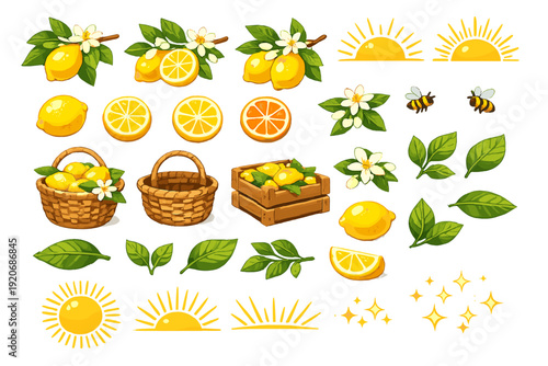 Lemons, oranges, bees, and baskets against a white background with sun symbols and leaves show elements of nature and harvest time