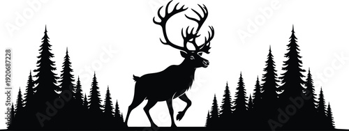 Deer in forest silhouette