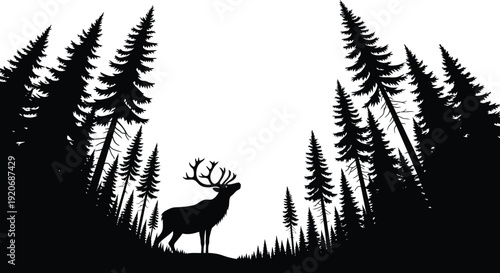 Deer in forest silhouette