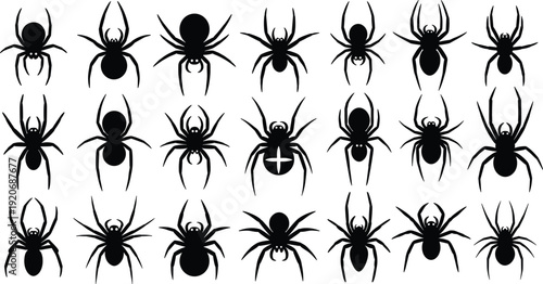Collection of black spider silhouettes in various sizes and shapes including poisonous arachnids and common house spiders for Halloween decor and pest control