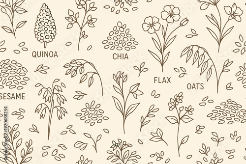 Patterns of various plants and seeds arranged in a grid on a light background showcasing natural growth and diversity