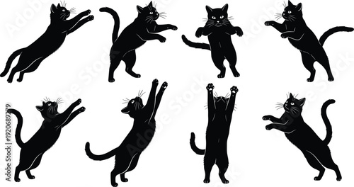 Collection of black cat silhouettes in various action poses including jumping, reaching, and playing for feline pet animal graphic design icons and ornaments