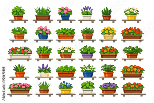 Garden pots with various flowers and plants arranged on shelves in neat lines