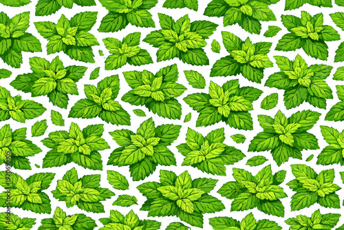 Mint leaves form a bright pattern on a plain background showing a detailed illustration of nature