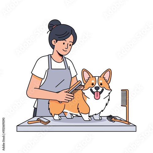 Groomer Brushing Happy Corgi Dog on Table with Grooming Tools, Pet Care