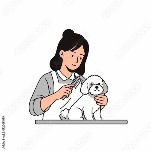 Groomer Brushing White Bichon Frise Dog with Comb, Pet Care Service
