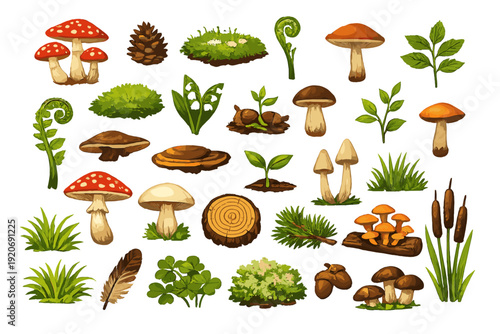 Mushrooms, plants, and nature elements are arranged in various forms and colors on a white background in a detailed display