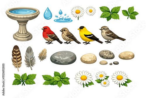 Different birds and items found in nature near a birdbath with flowers and leaves on a sunny day