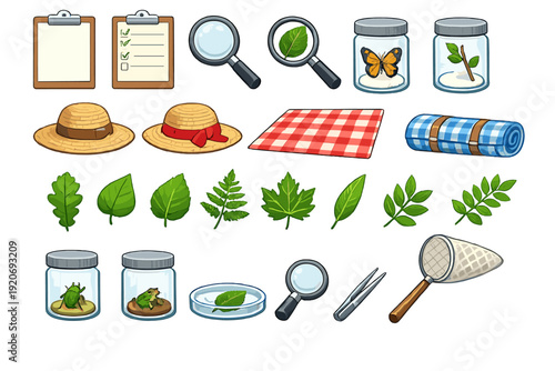 Tools and items for outdoor exploration focused on nature study and insect observation during the day