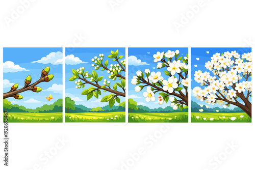 Spring shows the changing of trees through four stages from buds to full blossoms in a clear sky landscape