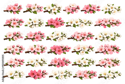 Cherry blossoms are arranged in a pattern on a white background with different colors and designs
