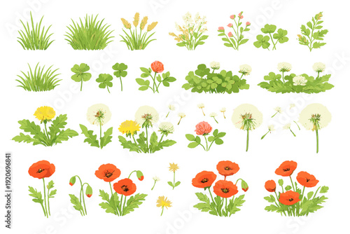 Different types of plants and flowers arranged in groups showcasing their unique shapes and colors in a clear layout