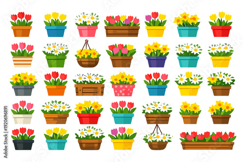 Various flower pots filled with tulips and daffodils arranged on a white background