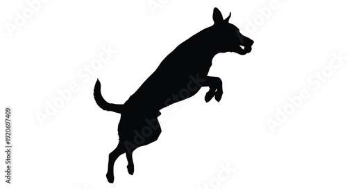 A leaping dog captured in a striking black silhouette