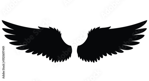 Dramatic black wings spread wide against a white background silhouette