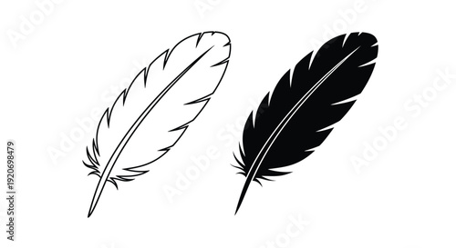 Two feathers one light and one dark in a minimalist style silhouette