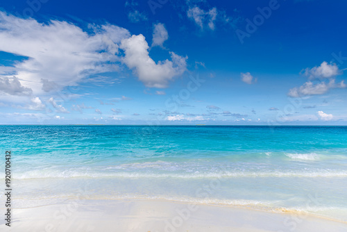 Wallpaper Mural Sunny beach blue ocean sunshine fluffy clouds clear sky. Summer nature landscape vacation inspiration shore seaside tropical island coast paradise turquoise water serene scenery bright day wallpaper Torontodigital.ca