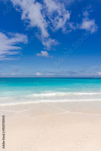 Wallpaper Mural Sunny beach blue ocean sunshine fluffy clouds clear sky. Summer nature landscape vacation inspiration shore seaside tropical island coast paradise turquoise water serene scenery bright day wallpaper Torontodigital.ca