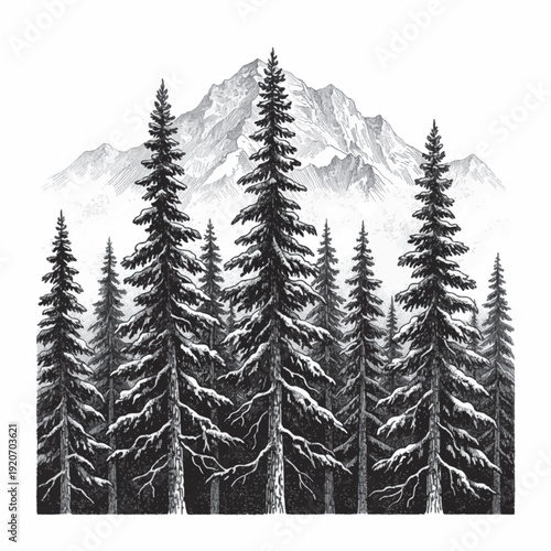 Pine forest landscape laser engraving design, vintage woodcut engraving vector illustration, detailed hand drawn ink line art evergreen trees with mountain backdrop for CNC etching