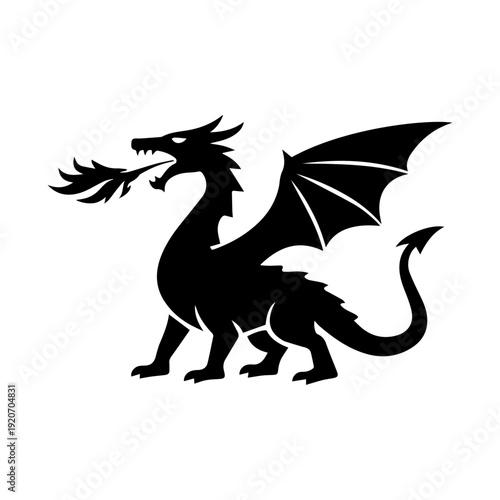Dragon silhouette illustration vector icon
Vector illustration on a white background
