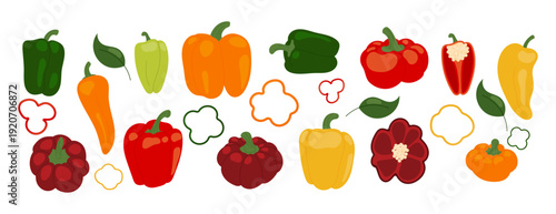 Hand drawn vector set of colorful sweet bell peppers isolated on white background