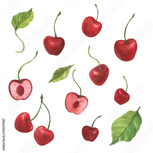 Watercolor red sour cherry set isolated. Hand drawn illustration