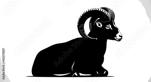 A striking black and white illustration depicts the face of a cat partially obscured by darkness