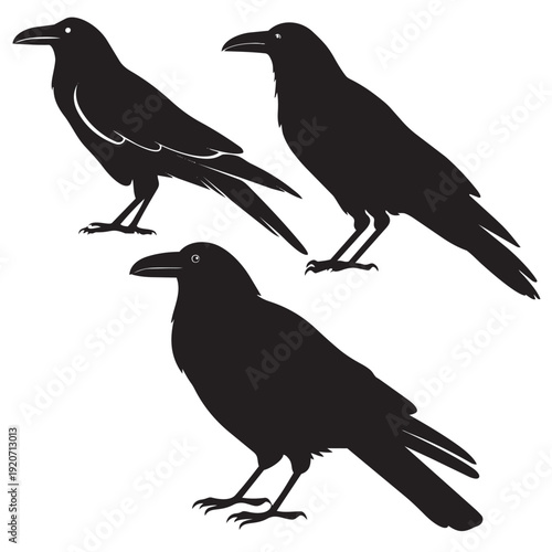 Editable Crow Silhouette Vector File