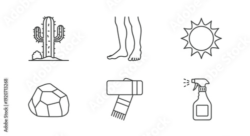 Line icons represent desert survival and travel needs.