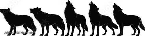 Silhouettes of wolves howling in different poses, wild nature, forest animals, wildlife, pack behavior, hunting instincts, nocturnal creatures, wilderness, strength, freedom, wild life