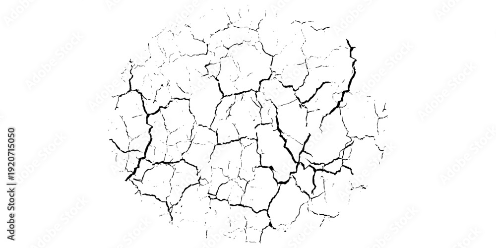 Fototapeta premium Texture soil dry crack background pattern of drought lack of water of nature white black old broken.