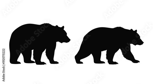 Two bears walking side by side against a white background silhouette