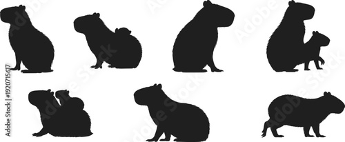 Capybara silhouette collection flat vector illustration, cute giant rodent animal poses set isolated on white background for wildlife design