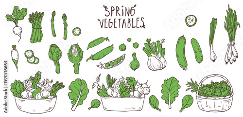 Spring vegetables and baskets of vegetables doodle vector set. Simple hand drawn sketch food illustrations with fresh seasonal organic ingredients for menu, packaging and healthy food design.