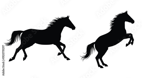 Two horses in dynamic poses a striking black silhouette