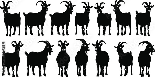 Goat silhouette collection featuring farm animals standing in various poses for rural livestock nature conservation design and domestic mountain animal character vector set