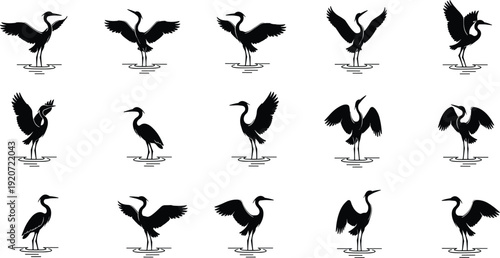Heron silhouette collection featuring various species standing and flying in water for wetland wildlife nature conservation marsh bird design and aquatic animal vector set