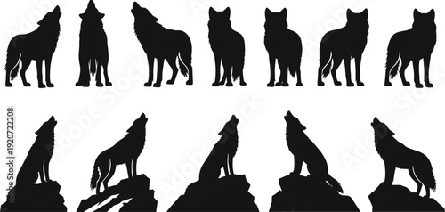 Wild wolf silhouette collection featuring powerful timber wolves howling on rocks and standing in forest wilderness for nature conservation and predatory animal vector set