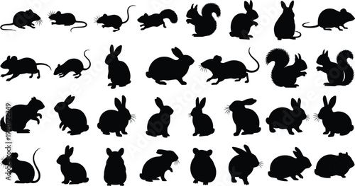 Small forest animal silhouette collection featuring rabbits squirrels mice and hamsters in various poses for nature wildlife conservation design and rural livestock vector set