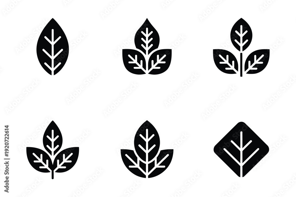 Fototapeta premium Leaf icons set: simple design elements for nature and health
