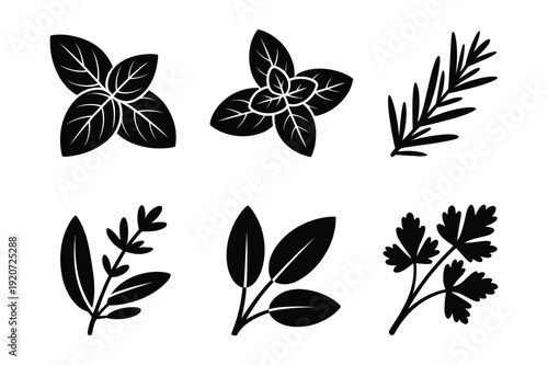 Collection of Fresh Herb Icons for Cooking