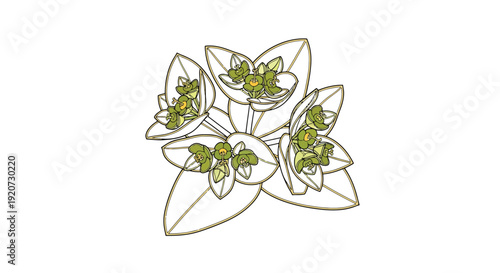 Stylized Botanical Illustration with Vibrant Green Foliage and Blossoms on White