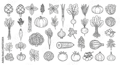 Assorted garden vegetables are drawn in detailed line art.