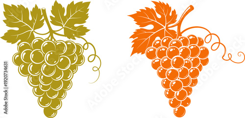 Grapes cluster illustration with leaves vine fruit harvesting wine design element